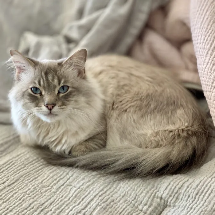 Lakeside Animal Hospital Picture 2