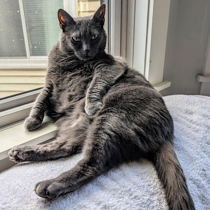 Lakeside Animal Hospital Picture 4