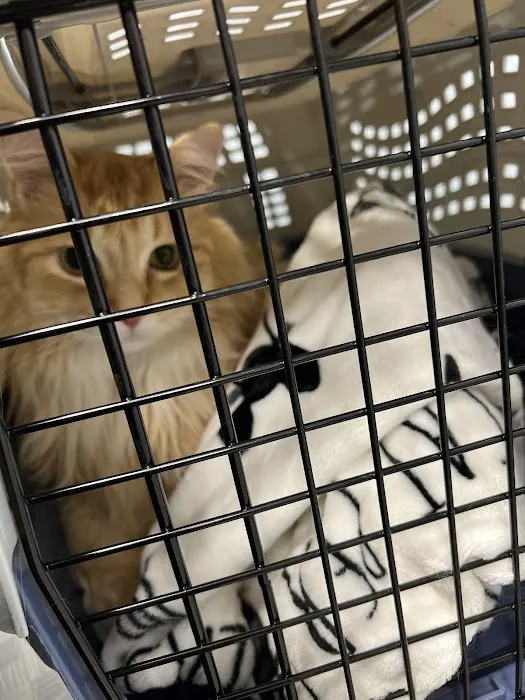 Lakeside Animal Hospital Picture 5