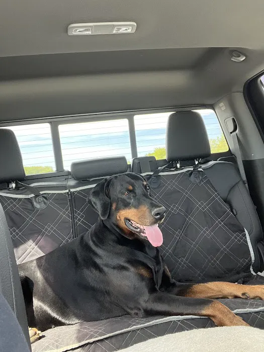 Lakeside Animal Hospital Picture 3