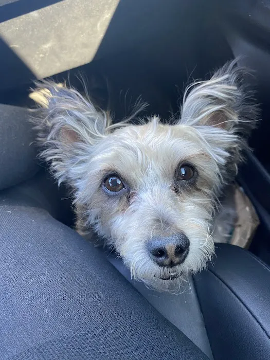 Lakeside Animal Hospital Picture 10