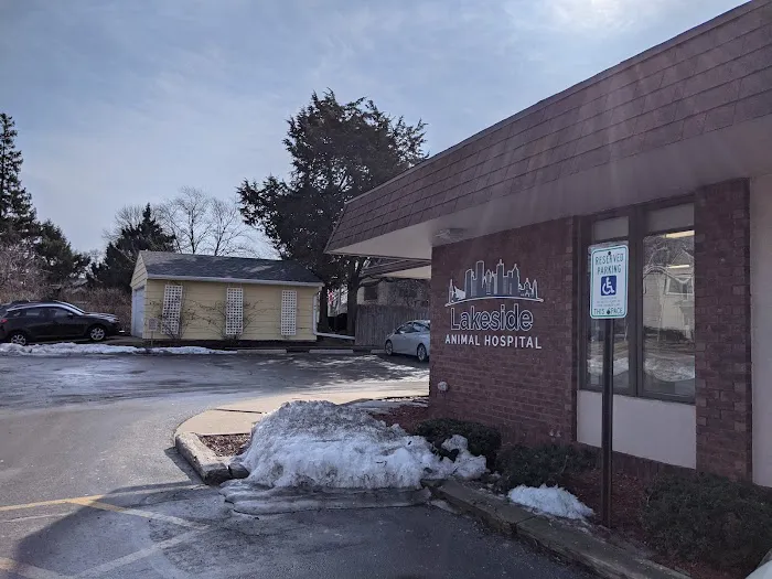 Lakeside Animal Hospital Picture 6