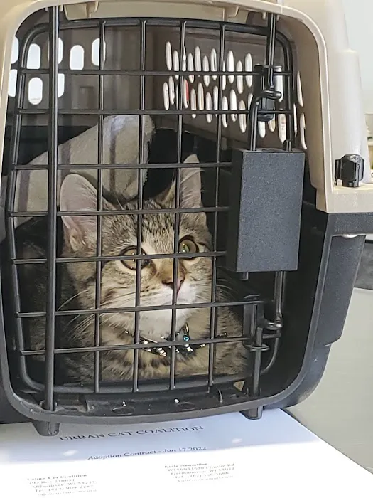 Lakeside Animal Hospital Picture 7