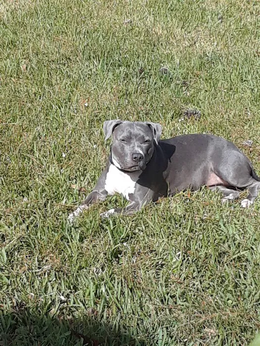 All Paws Veterinary Clinic Picture 3