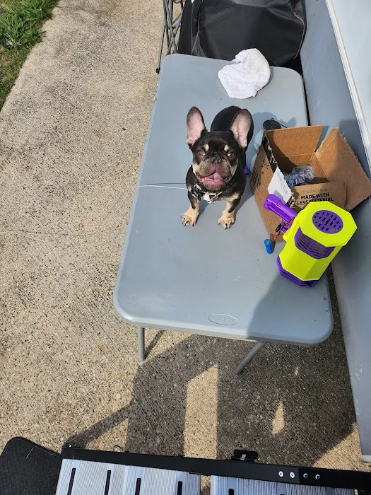 All Paws Veterinary Clinic Picture 5