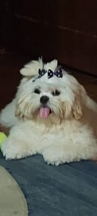 Sherwood J M DVM Picture 1