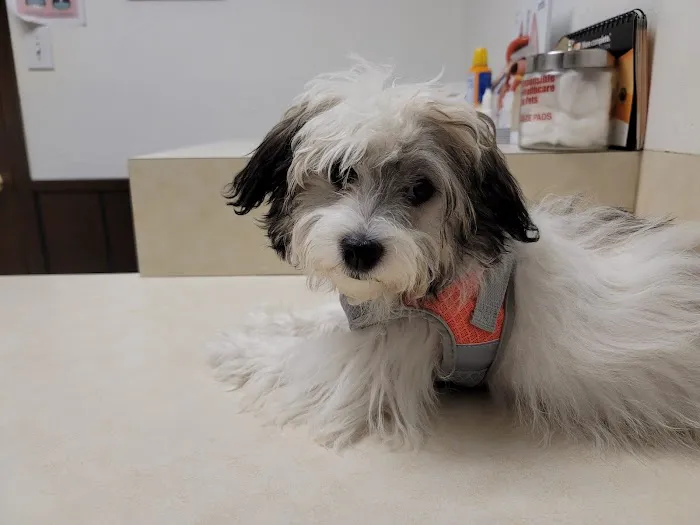 Sherwood J M DVM Picture 2