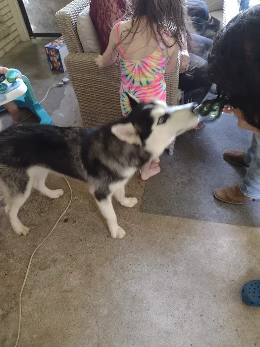 Sherwood J M DVM Picture 3