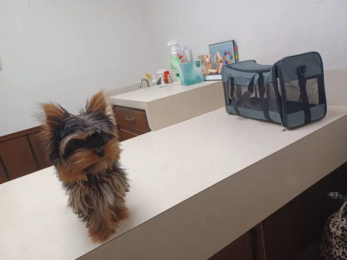 Sherwood Animal Clinic Picture 3