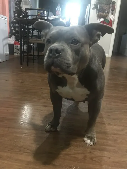 Sherwood Animal Clinic Picture 1