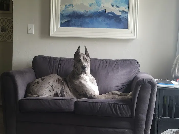 Sherwood Animal Clinic Picture 5