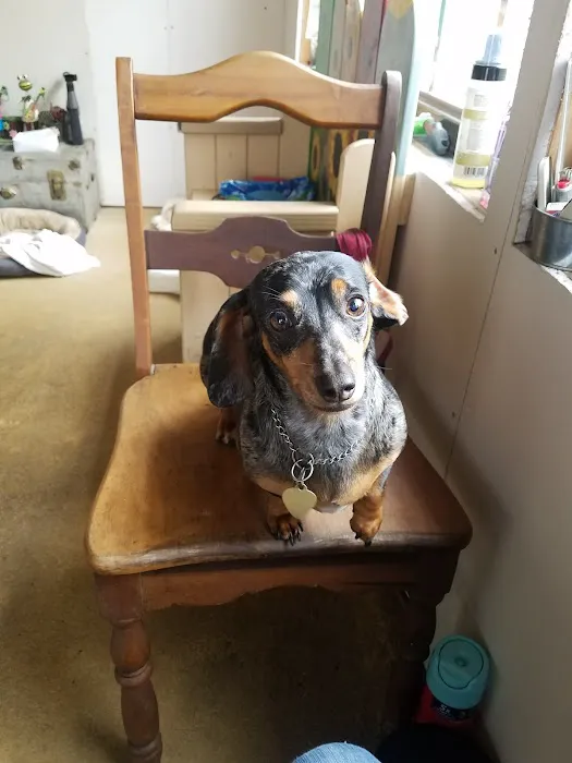 Sherwood Animal Clinic Picture 8