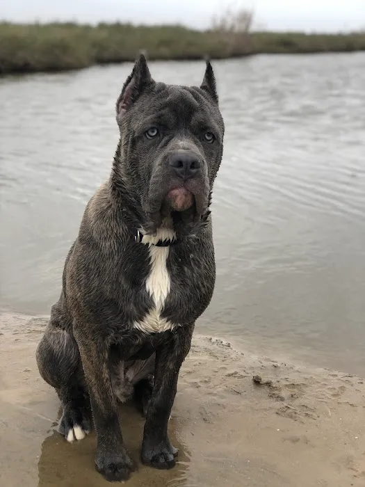 Sherwood Animal Clinic Picture 7