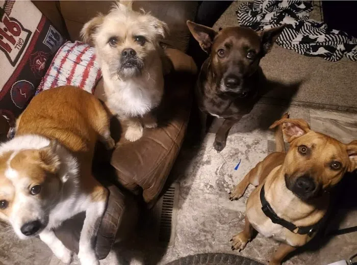 Sherwood Animal Clinic Picture 9