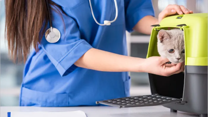 Sherwood Animal Clinic Picture 10