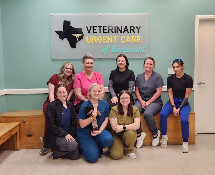 Veterinary Urgent Care of Beaumont Picture 4