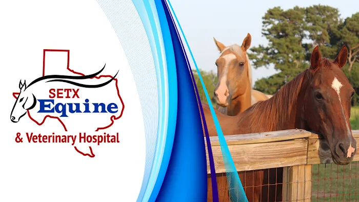 Southeast Texas Equine and Veterinary Hospital, P.L.L.C. Picture 9