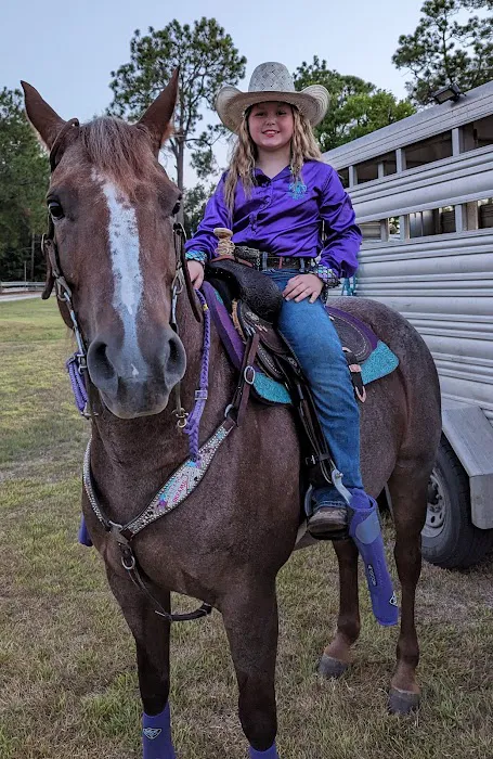 Southeast Texas Equine and Veterinary Hospital, P.L.L.C. Picture 3
