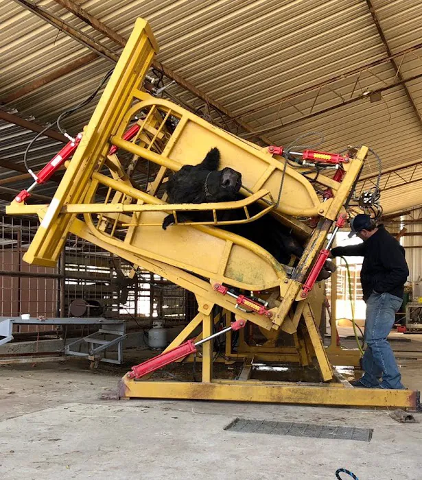 Southeast Texas Equine and Veterinary Hospital, P.L.L.C. Picture 7