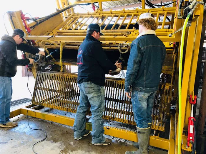 Southeast Texas Equine and Veterinary Hospital, P.L.L.C. Picture 5