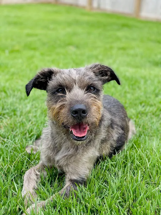 Delaware Animal Clinic Picture 5