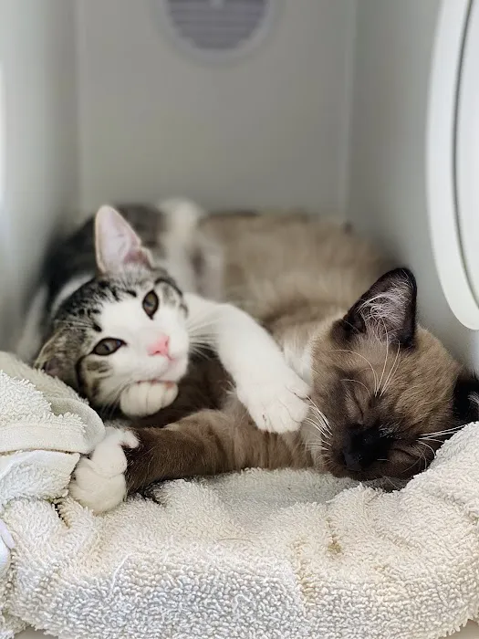 Delaware Animal Clinic Picture 3