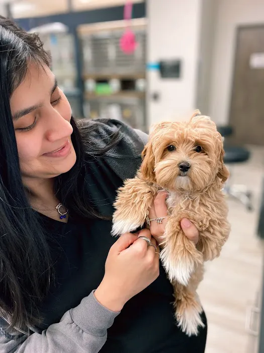 Delaware Animal Clinic Picture 7