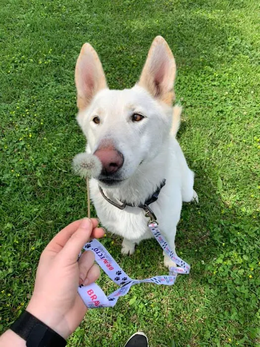 Delaware Animal Clinic Picture 6