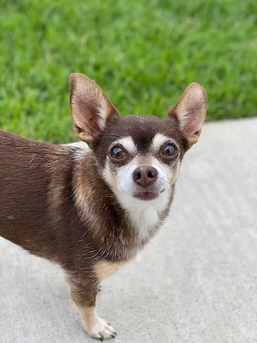 Delaware Animal Clinic Picture 4