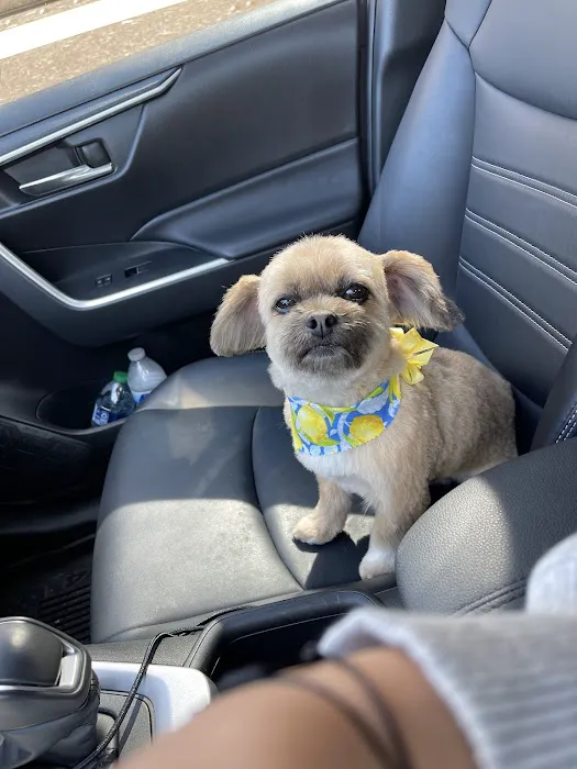 Channel Islands Veterinary Hospital Picture 1