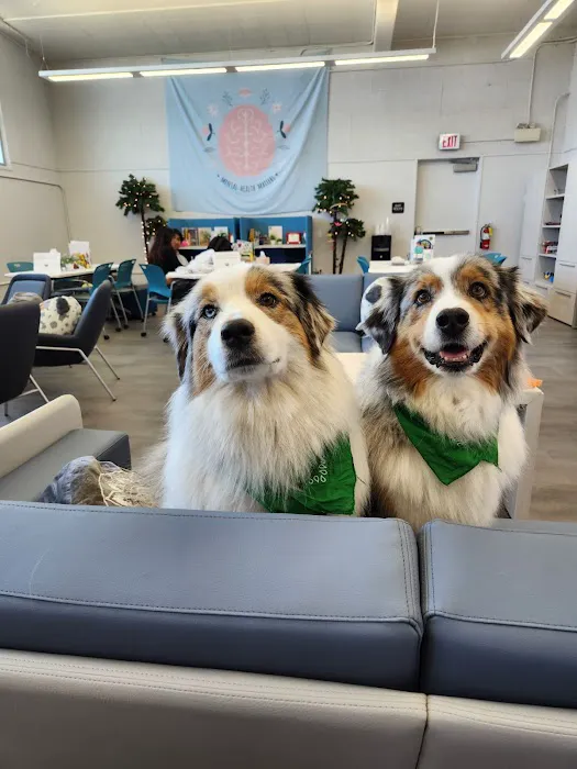 Channel Islands Veterinary Hospital Picture 6