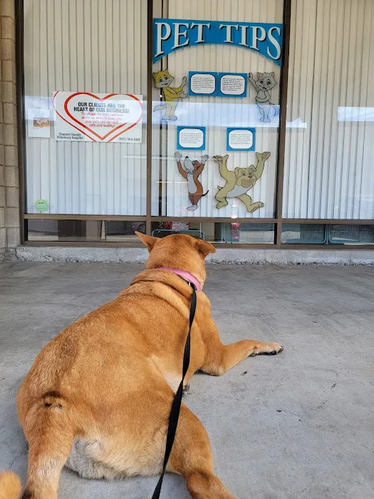 Channel Islands Veterinary Hospital Picture 8