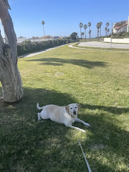 Channel Islands Veterinary Hospital Picture 5