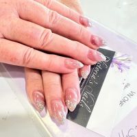 Anderson Scott D DVM ico