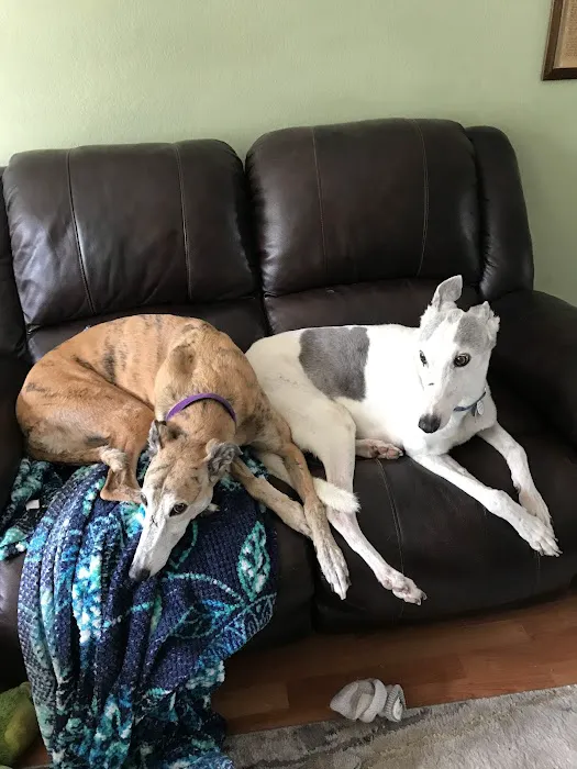 Mackinnon Linda DVM Picture 1