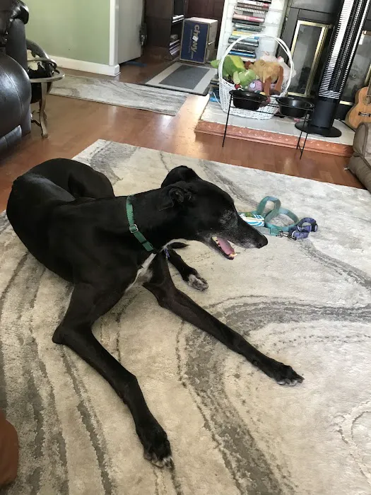 Mackinnon Linda DVM Picture 2