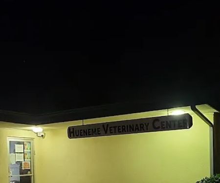 Hueneme Veterinary Center