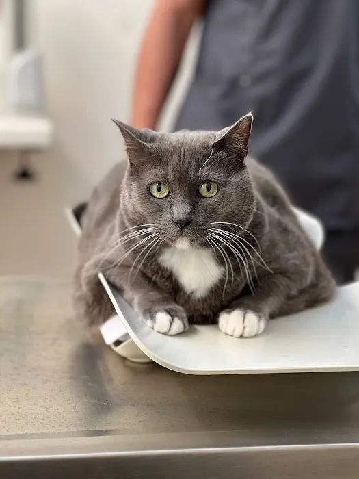 Hueneme Veterinary Center Picture 2