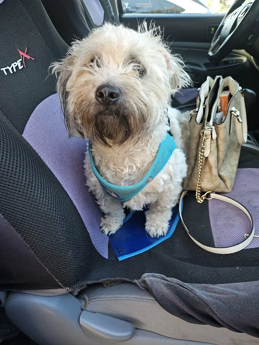 Hueneme Veterinary Center Picture 5