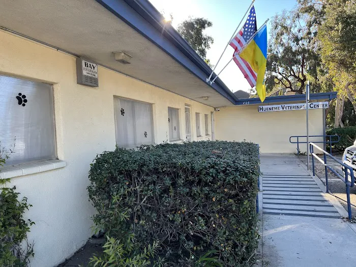 Hueneme Veterinary Center Picture 6