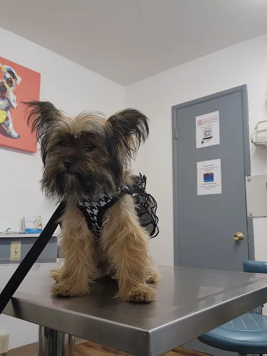 Hueneme Veterinary Center Picture 8