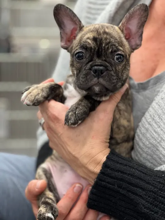 Hueneme Veterinary Center Picture 9