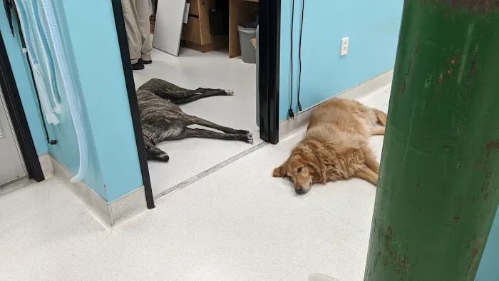 NBVC Vet Clinic Picture 3