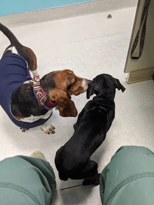 NBVC Vet Clinic Picture 4