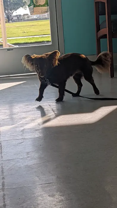 NBVC Vet Clinic Picture 5