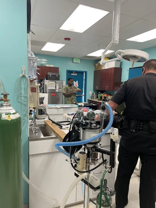 NBVC Vet Clinic Picture 7