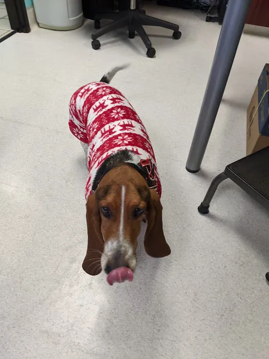 NBVC Vet Clinic Picture 2