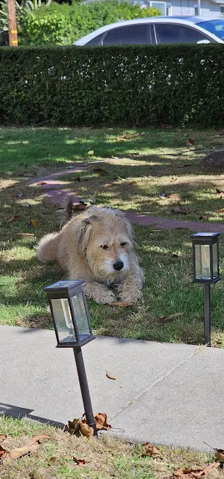 Port Hueneme Animal Hospital Picture 4