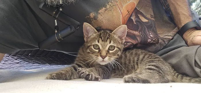 Port Hueneme Animal Hospital Picture 5