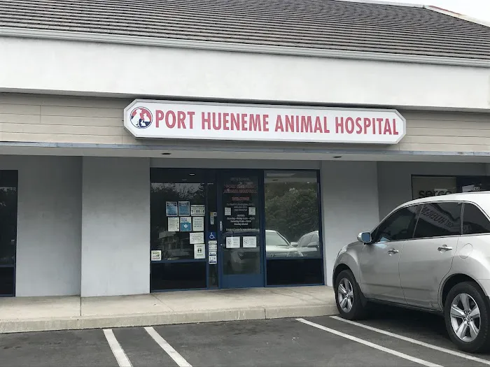 Port Hueneme Animal Hospital Picture 9